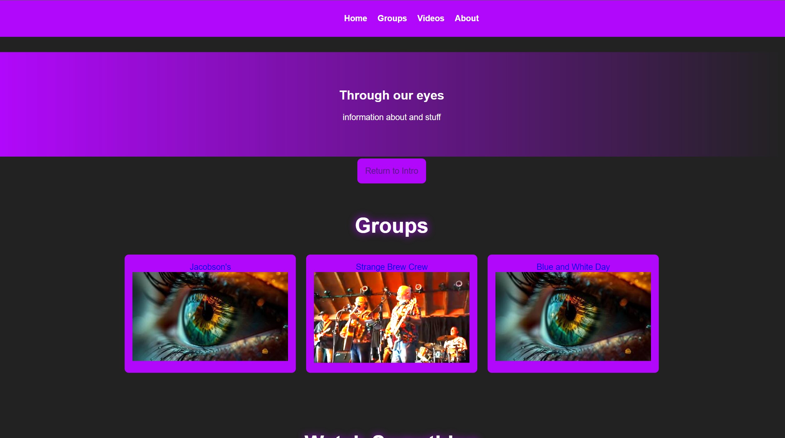 Image of Through Our Eyes, Senior Project